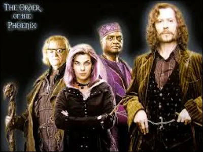 Ensuite, quel métier voudrais-tu faire après tes études (ce qui est pour bientôt) ?