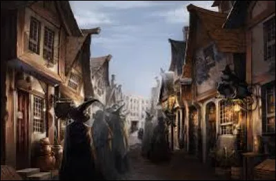 Te voilà maintenant sur le chemin de Traverse afin d'acheter toutes tes fournitures. Tu commences évidemment par ton magasin préféré, qui est :