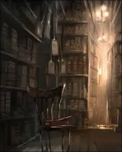 Plus tard, en te rendant chez Fleury et Bott, tu passes devant la boutique d'Ollivander et tu te souviens de ce qu'il t'avait dit lorsqu'il t'avait tendu ta baguette magique :