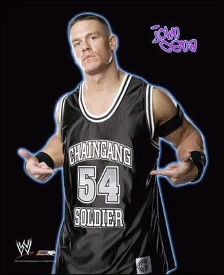 Quelles sont les trois professions de John Cena ?