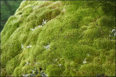 En changeant quelle lettre cette illustration peut-elle vous dresser une amende ?