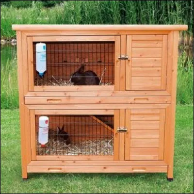 Pour changer la lettre, vous devrez taper dessus. C'est le...