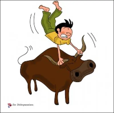 Que signifie l'expression "Prendre le taureau par les cornes" ?