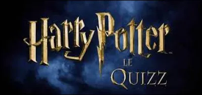 Quand fais-tu des quizz Harry Potter ?