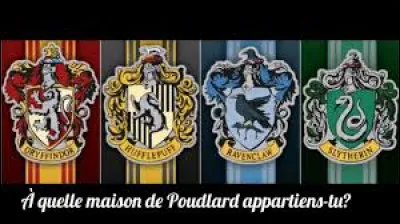 As-tu fait le test pour savoir ta maison sur www.wizardingworld.com ?