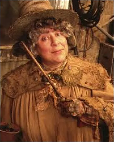 Quel est le nom anglais de Professeur Chourave ?