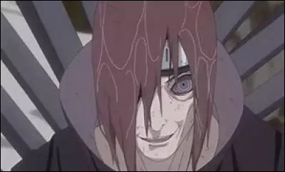 Quels ninjas ont-ils rencontrés ?