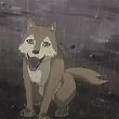 Comment s'appelle son petit chien ?