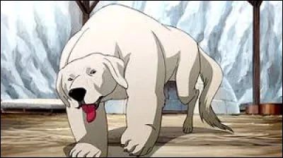 Ton animal favori est...