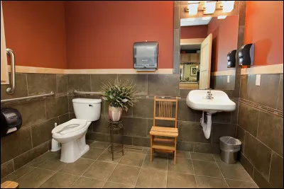 Dans les toilettes, quelle est la matière de la chaise ?