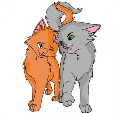 Si tu as répondu "autre"...