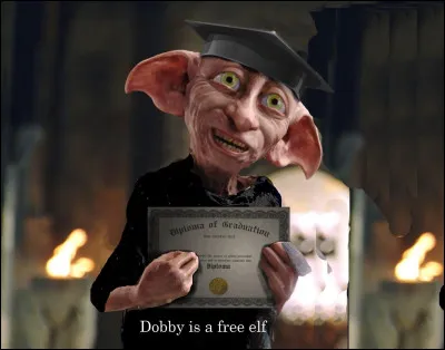 "- Tu as essayé de tuer tes maîtres !
- Non Dobby n'a pas de maître, c'est un elfe LIBRE ! Non, Dobby ne voulait pas tuer ! Blesser très gravement, mutiler Mais pas tuer !"
Qui parle à Dobby ?