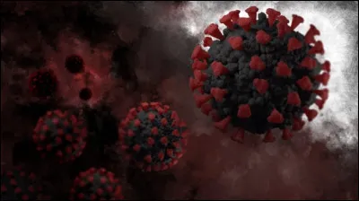 Ils discutent sur un sujet d'actualité, qui n'est autre que le covid-19 ! Un lâche une information vraiment loufoque. Que dit l'autre ?