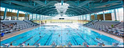 Quelle est la longueur d'une piscine olympique ?