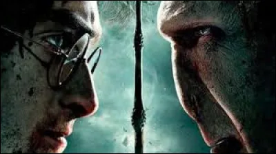 Quel est le point commun entre la baguette de Harry Potter et celle de Voldemort ?
