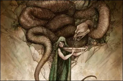 Lequel de ses fils fut transformé en loup pour tuer un de ses frères ?