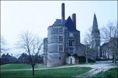 Nous sommes dans les Pays-de-la-Loire devant le château de Martigné-Briand. Ancienne commune de l'arrondissement de Saumur, elle se situe dans le département ...