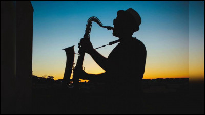 Comment est appel&eacute; leur genre de musique ?