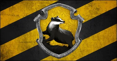 Une Poufsouffle te demande un plat, que fais-tu ?