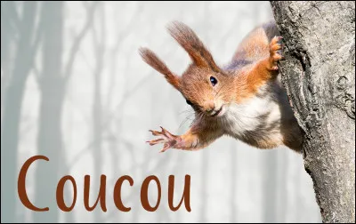 Comment dit-on bonjour, en japonais ?