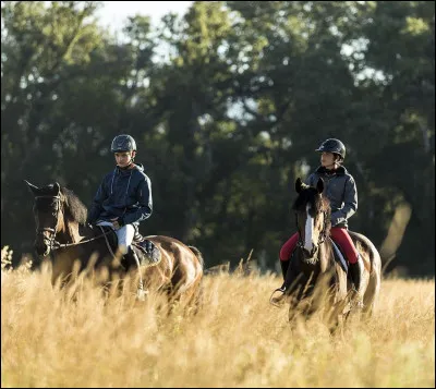 Quel niveau as-tu à cheval ?