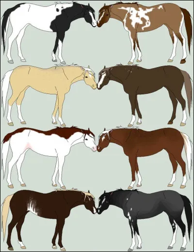 Quelle robe préfères-tu ?