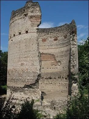 Voici la « Tour de Vésone » à Périgueux, bâtie au Ier siècle de notre ère. Qu'était ce bâtiment à l'origine ?