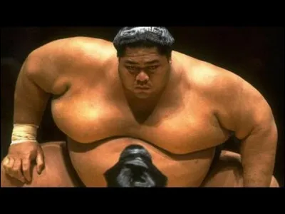 Quel est le nom donné aux lutteurs de sumo ?