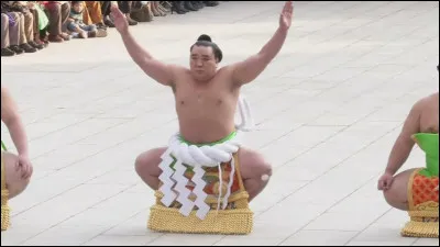 Comment s'appelle le rang suprême auquel accèdera le meilleur lutteur ?