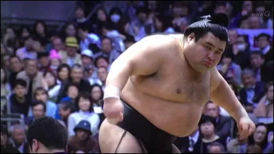 Technique de combat, yorikiri : 

En quoi consiste la technique du yorikiri ?