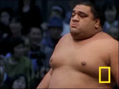 Que signifie littéralement le terme "rikishi" ?