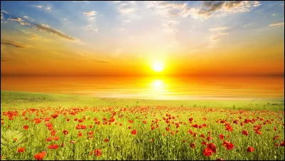 Voilà le mois où débute l'été, juin ! Grosses chaleurs et baignades sont au rendez-vous lors de cette chouette saison. Comment ce mois se prononce-t-il en japonais ?