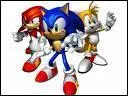 Comment s'appelle la team de Sonic ?