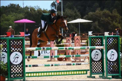 Sur le licol, qu'est-ce qui relie la sous-gorge à l'anneau d'attache ?
