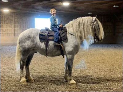 Comment s'appelle l'endroit où on mesure les chevaux ?