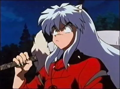 Pourquoi Inuyasha est-il un hany ?