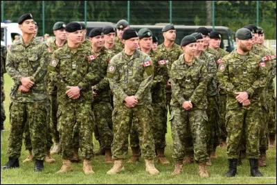 Nous sommes en guerre (pour de vrai cette fois) ! Quelle place accepteriez-vous de tenir dans l'armée ?
