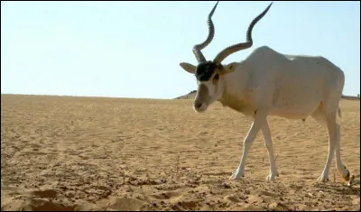 Ci-dessous, trois propositions de réponse, trouvez la bonne !