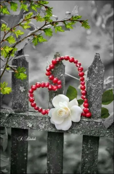 En 2003, elle nous chantait "J'aime pas l'amour" :