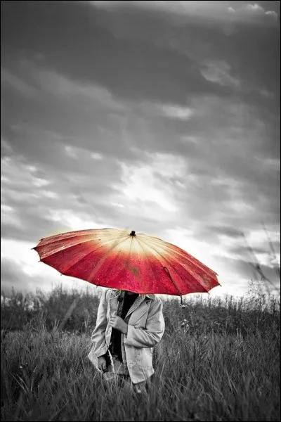 Que n'aime pas l'homophobe ?