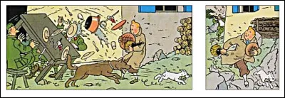 Tintin est à la frontière bordure, au bord de la famine... Voilà qui tombe à pic, n'est-ce pas ?