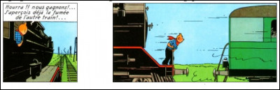 "Tintin en Amérique" > On peut noter 2 erreurs concernant le passage du train : lesquelles ?