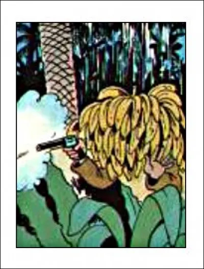 C'est à la botanique que nous avons à faire : le tronc de l'arbre ressemble à celui d'un palmier, ce que n'est pas le bananier ! Mais qu'y a-t-il d'autre ?