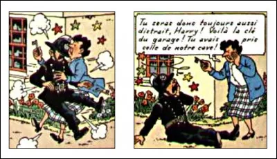 L'étourdi capitaine Harry pourrait jouer le 3e Dupondt ! Que remarque-t-on sur ces cases ?