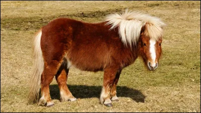 Qu'est-ce que l'impulsion ?