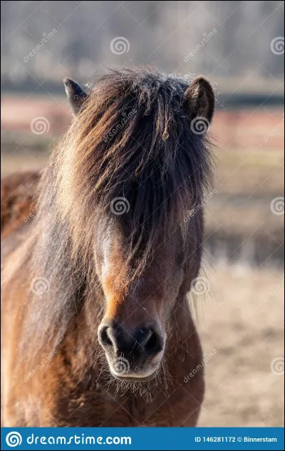 Que veut dire ''bouchonner''