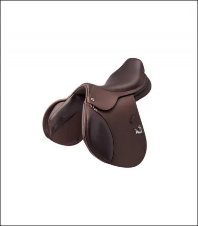 Qu'est-ce qu'une bardette ?