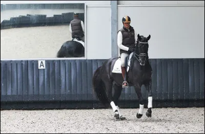 Qu'est-ce qu'un pare-bottes ?