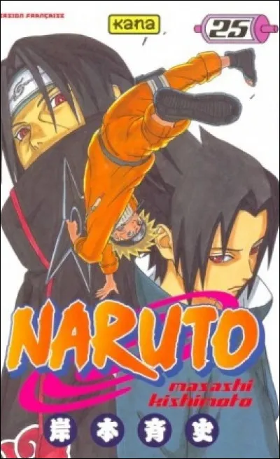 Comment s'intitule le 25e tome ?