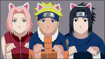 Quelle équipe de Konoha porte des oreilles de chat ?
